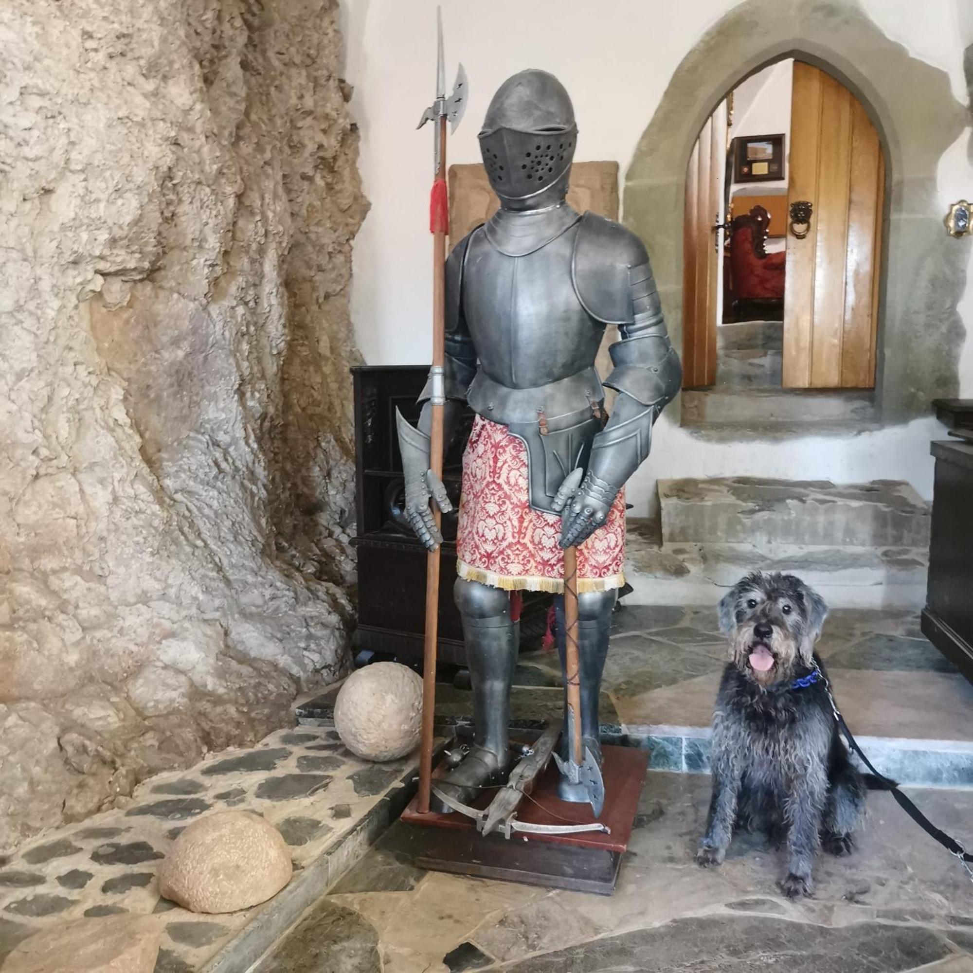 Burg Hermannstein - Queens Room Wetzlar Ngoại thất bức ảnh